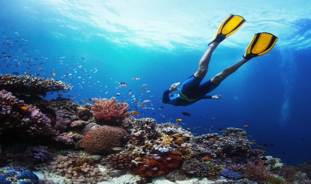 Scuba Diving in Sri Lanka